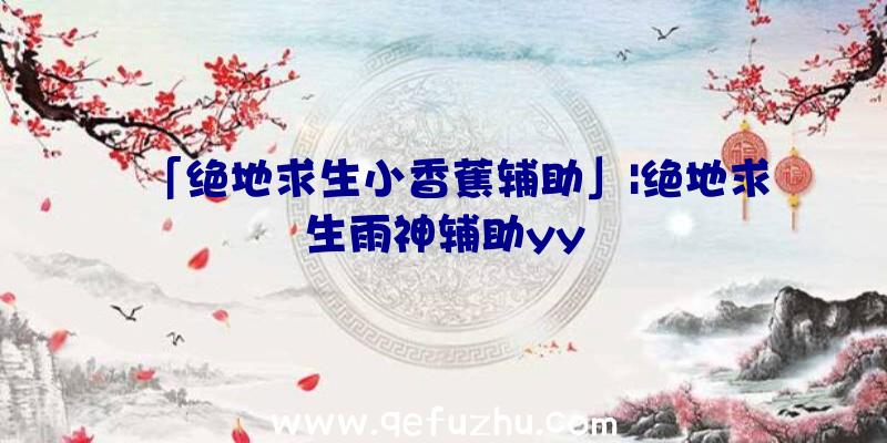 「绝地求生小香蕉辅助」|绝地求生雨神辅助yy